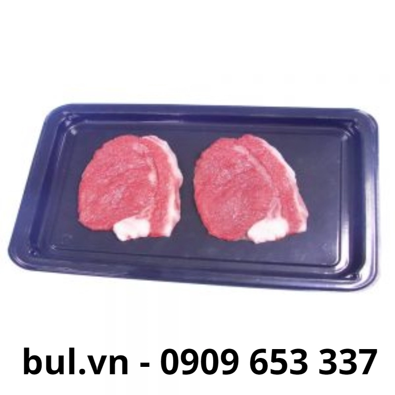 hop dung thuc pham dung 1 lan2 1 7569 - Cơ sở nhận sản xuất khay đựng thịt sử dụng một lần tại TP HCM